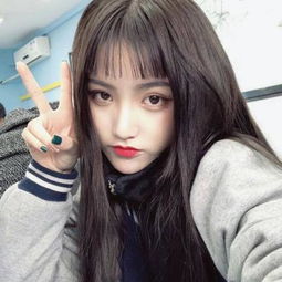 彩图宝库app